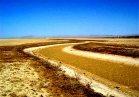 «گاوخونی» در نقطه بی‌بازگشت
