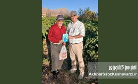 روایت یک باغدار: آب، قلب تپنده معیشت روستایی+ ویدئو