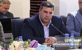 افشین احمدی: بیمه کشاورزی در روزهای بحران، تکیه‌گاه تولیدکننده است