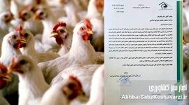 هشدار فعالان صنعت مرغ گوشتی به قالیباف؛ قیمت‌گذاری در آستانه بحران+ نامه