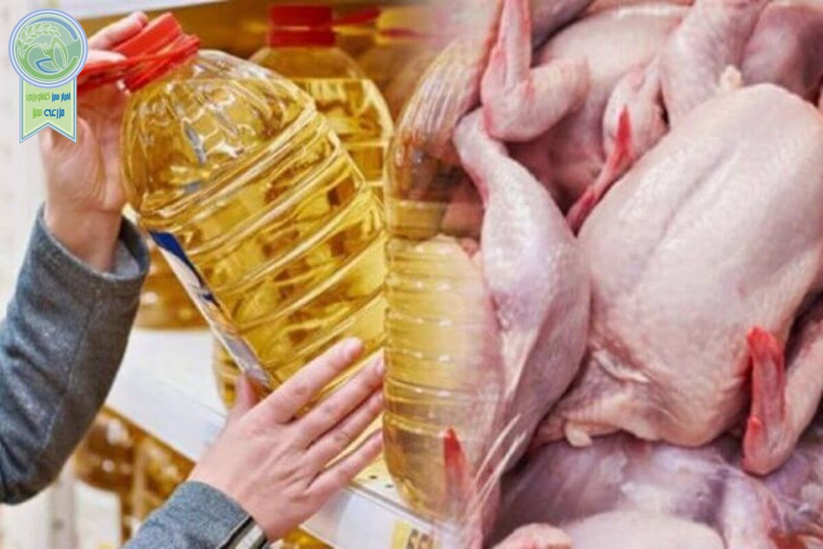 بازار با قیمت گذاری دستوری کنترل نمی شود