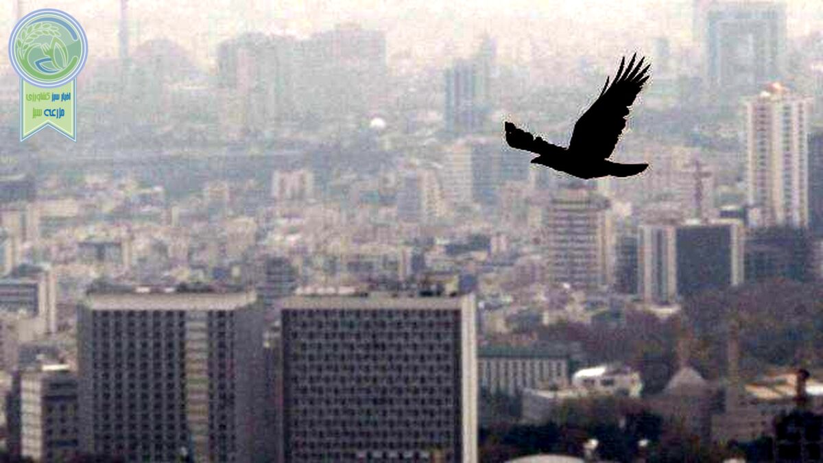 ادامه روزهای خاکستری کلانشهرها