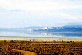 شوربختی بختگان
