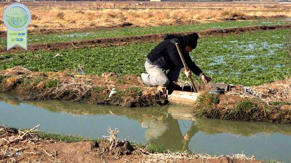 لزوم بهینه سازی سیستم آبیاری و استفاده از پساب در کشاورزی
