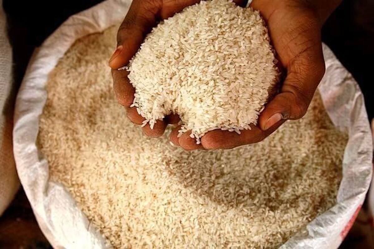 تهاتر نفت با برنج پاکستانی تکذیب شد
