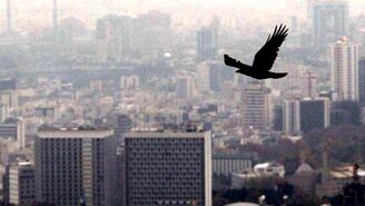 افزایش آلودگی شهرها با رشد ۱۴ درصدی مصرف سوخت