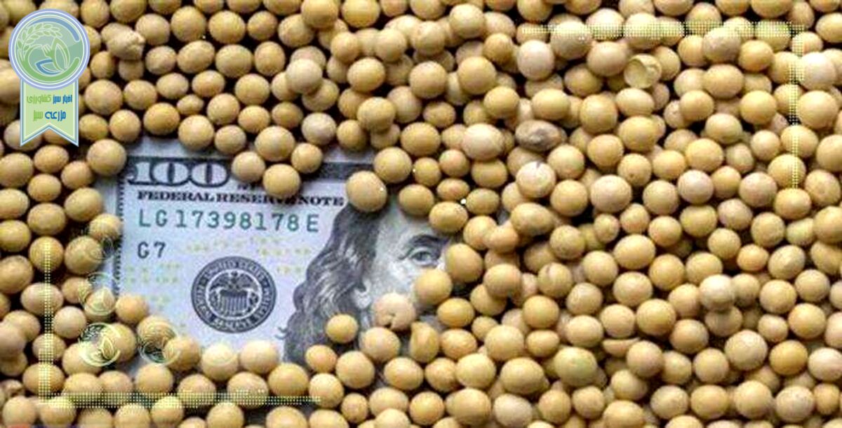احتمال حذف ارز دولتی نهاده‌های دامی تا ماه آینده