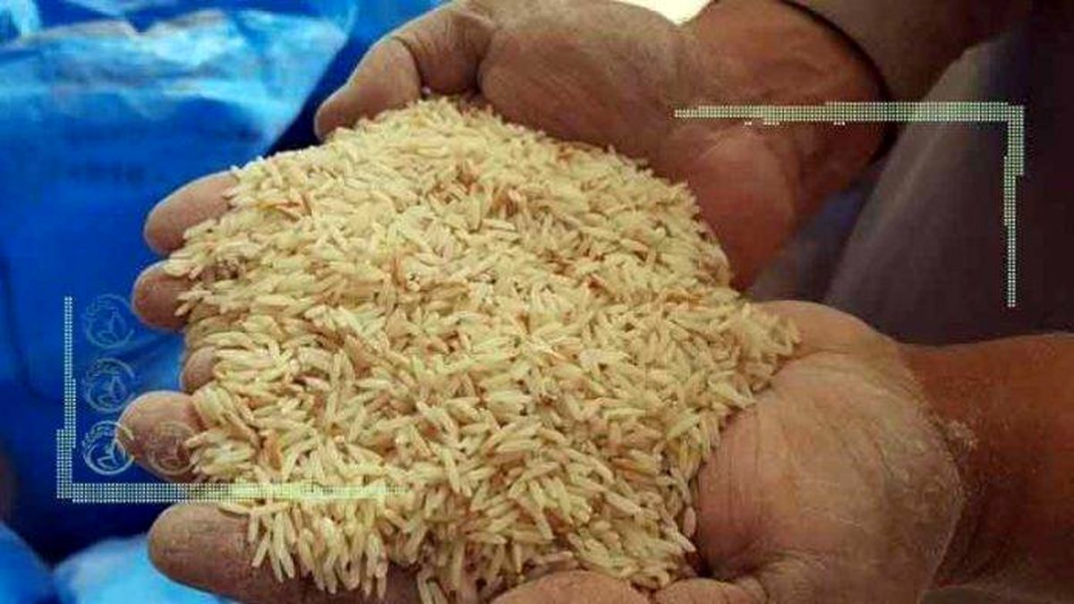اخذ مالیات از برنج وارداتی به ضرر مصرف کننده