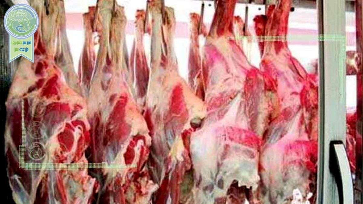 افزایش ۱۵ هزار تومانی قیمت گوشت گوسفندی
