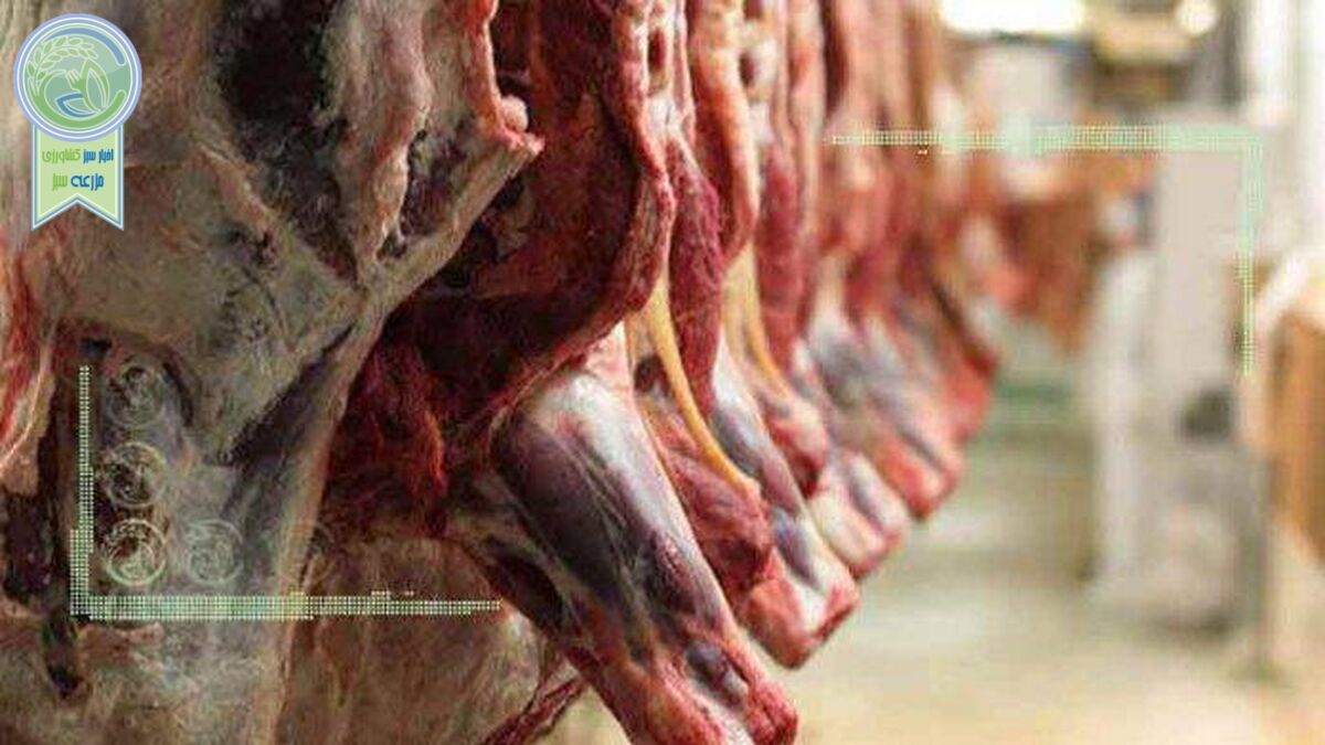 صادرات بهانه‌ای برای افزایش قیمت گوشت