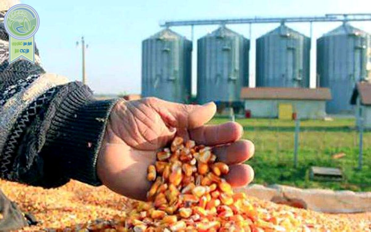 نیاز کشور به واردات ۲۰ میلیون تن نهاده دامی