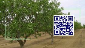 شناسنامه‌دار کردن باغات، تبدیل تهدید به فرصت