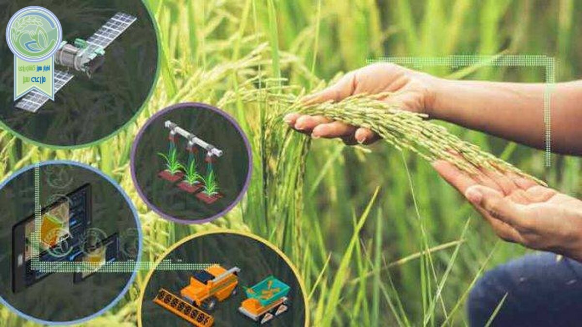 حسگرهای ضد آفت در محصولات کشاورزی