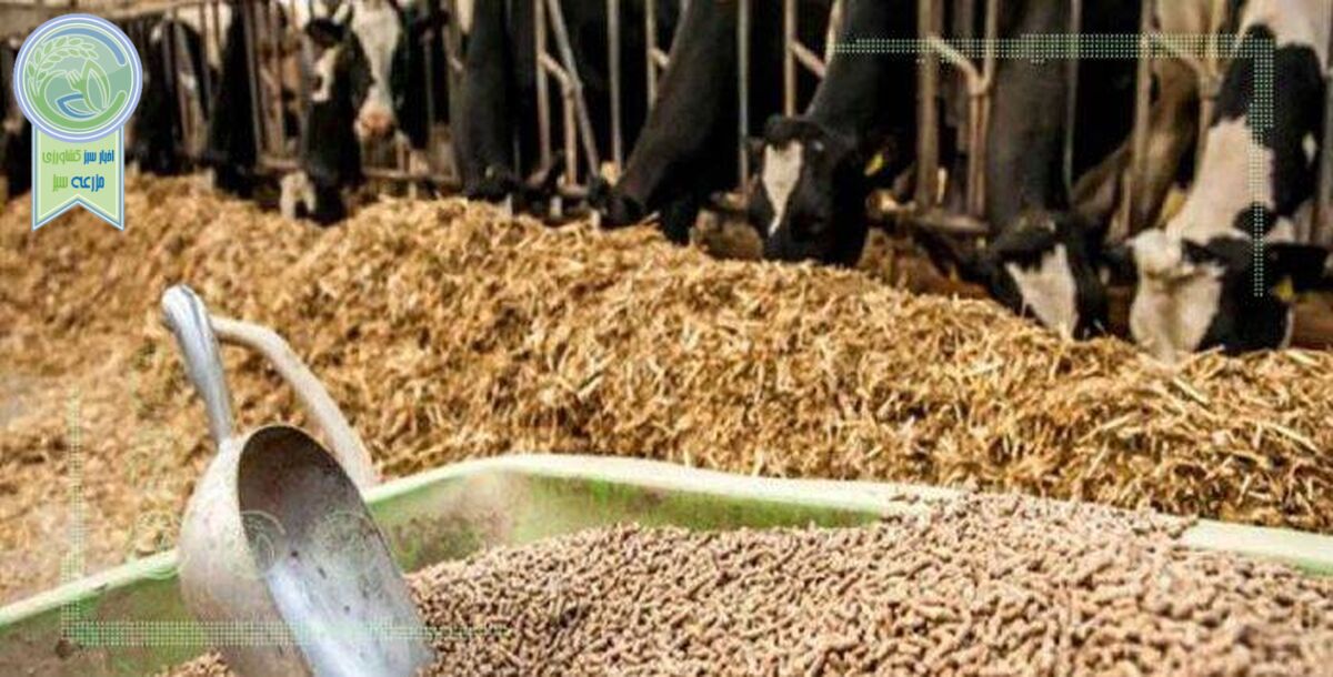 فاسد شدن چند 100 تن سویای دامی در بندر امام (ره)