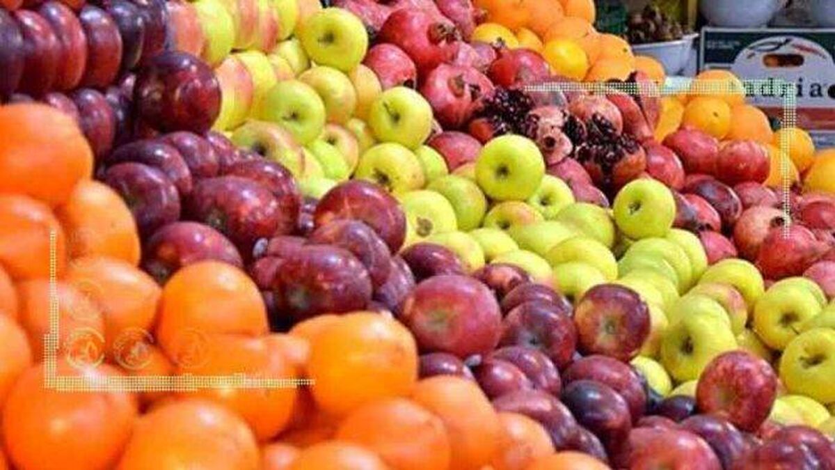 تشکیل قرارگاه رصد و پایش برای تولید محصولات گیاهی