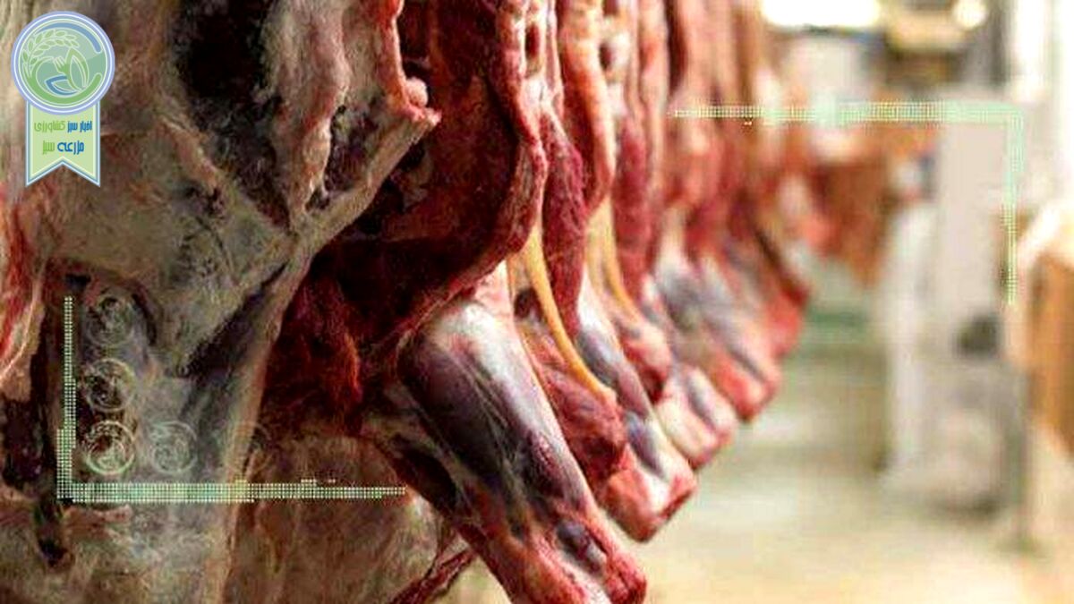 کاهش ۱۵ هزار تومانی قیمت گوشت