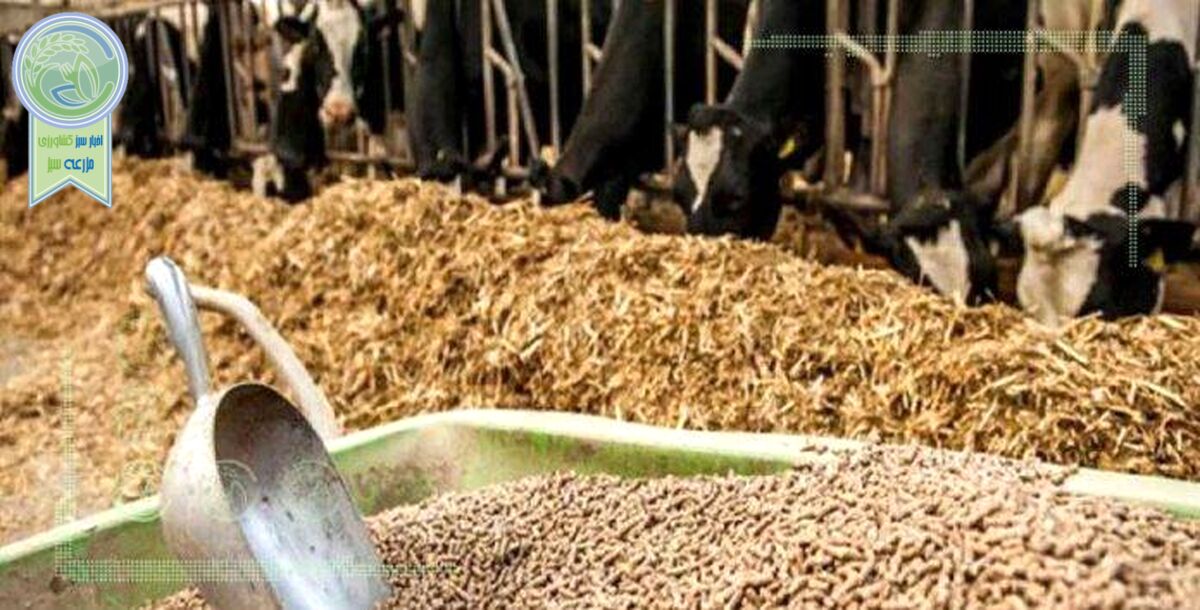 تامین نهاده؛ مشکل اصلی صنعت دامپروری