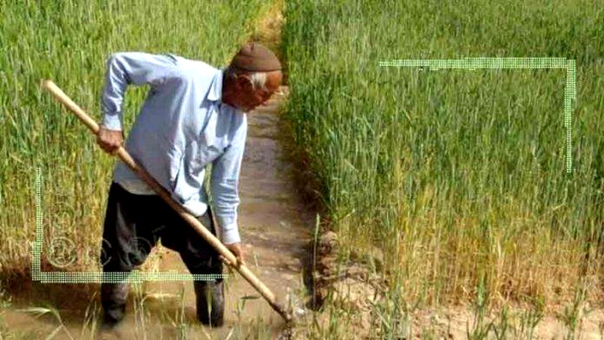 آبیاری سنتی؛ بلای جان منابع آبی