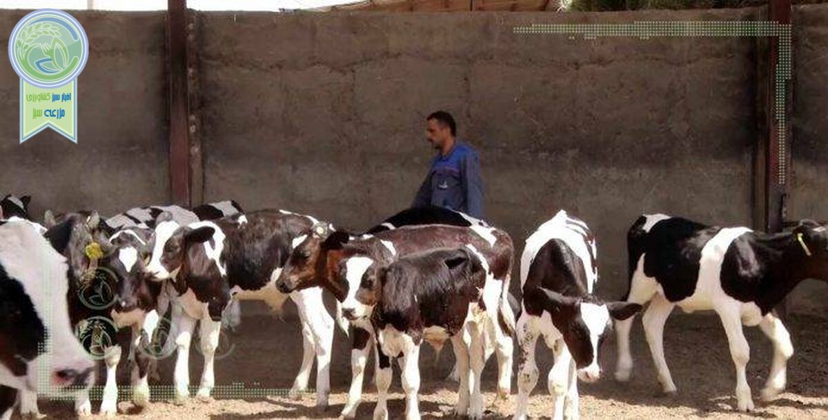 بازنگری دستورالعمل‌های سازمان دامپزشکی نفع بخش خصوصی