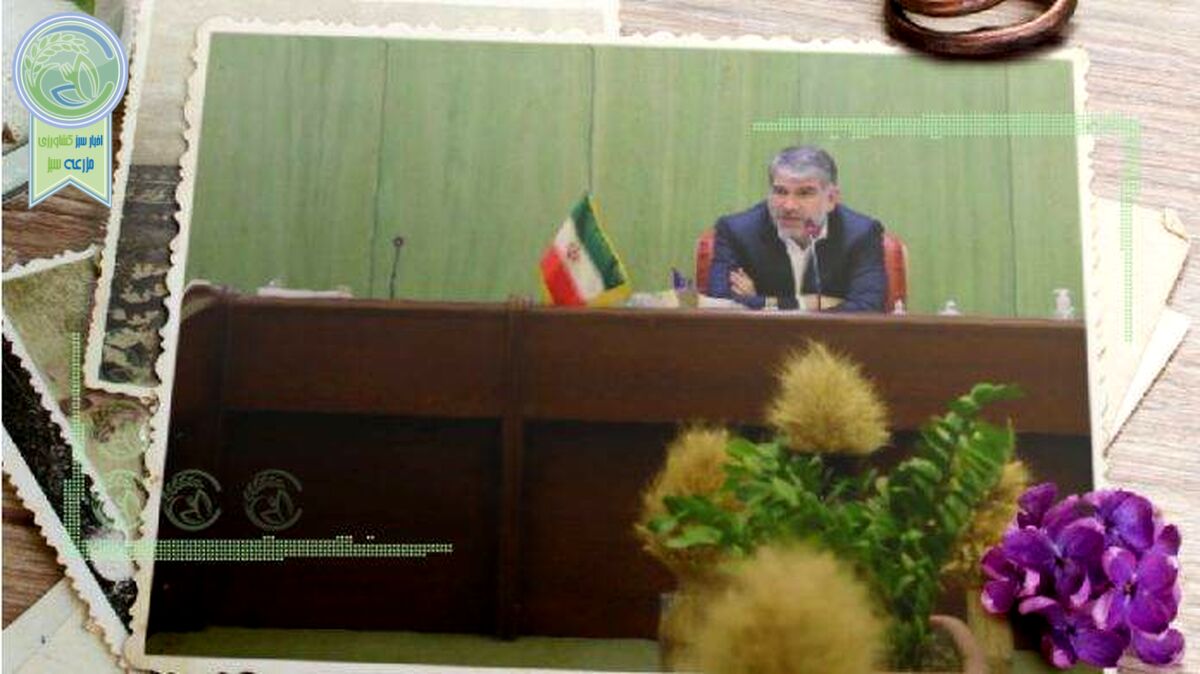 آقای ساداتی‌نژاد، جوجه‌ها را آخر تابستان می‌شمارند