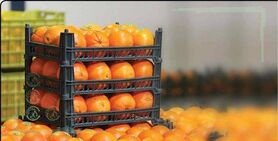 بازرسی 4 ماهه در سازمان تعاون روستایی و ۵ میلیارد تومان