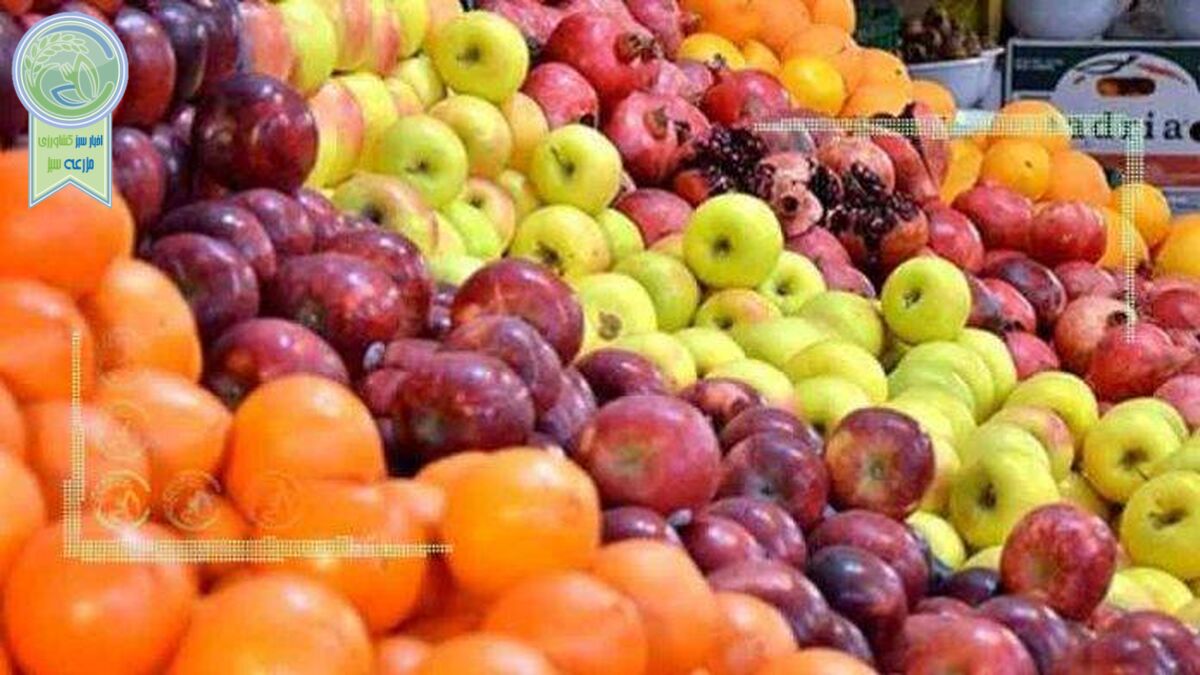 روایت تابش از حذف سازمان حمایت از قیمت‌گذاری میوه شب عید