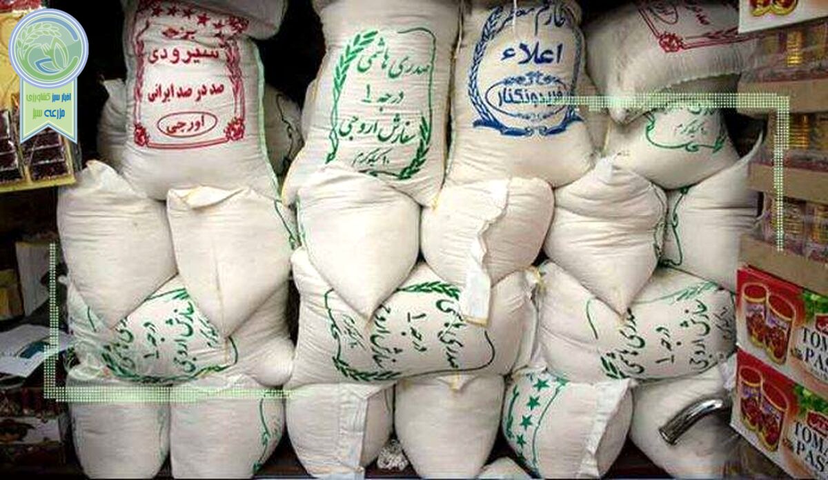 هشدار نسبت به عواقب قیمت گذاری دستوری برنج