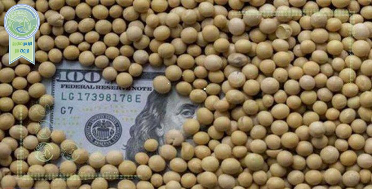 توزیع عادلانه ارز به نهاده‌های دامی می‌رسد؟
