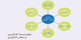 توسعه کارآفرینی کشاورزی؛ موانع و راه‌کارها