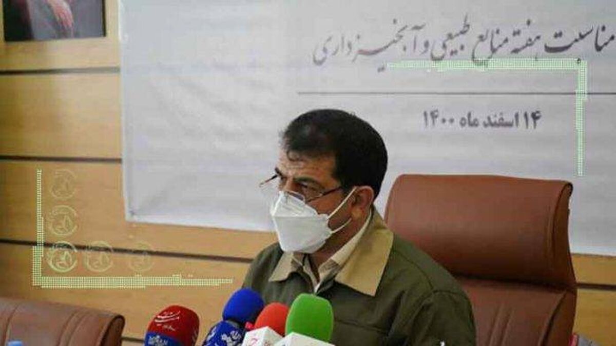 کاهش 46 درصدی حریق در جنگل های کشور