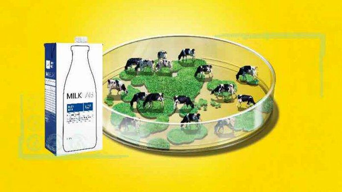 تولید شیر بدون گاو