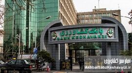 تزریق ۱۳ همت اعتبار «نوی‌پو»؛ نفس تازه به زنجیره دام و طیور