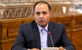 ارز مورد نیاز وزارت جهاد کشاورزی در بودجه امسال محقق شد

