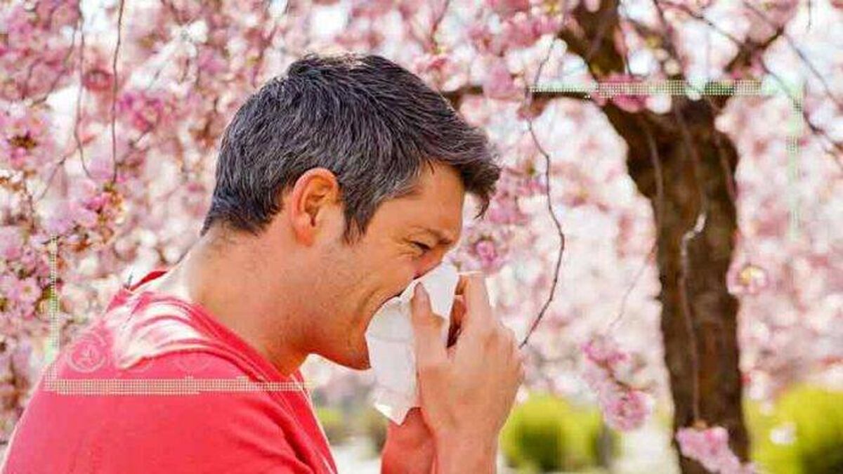 راهکار طب سنتی برای کاهش عطسه در فصل بهار