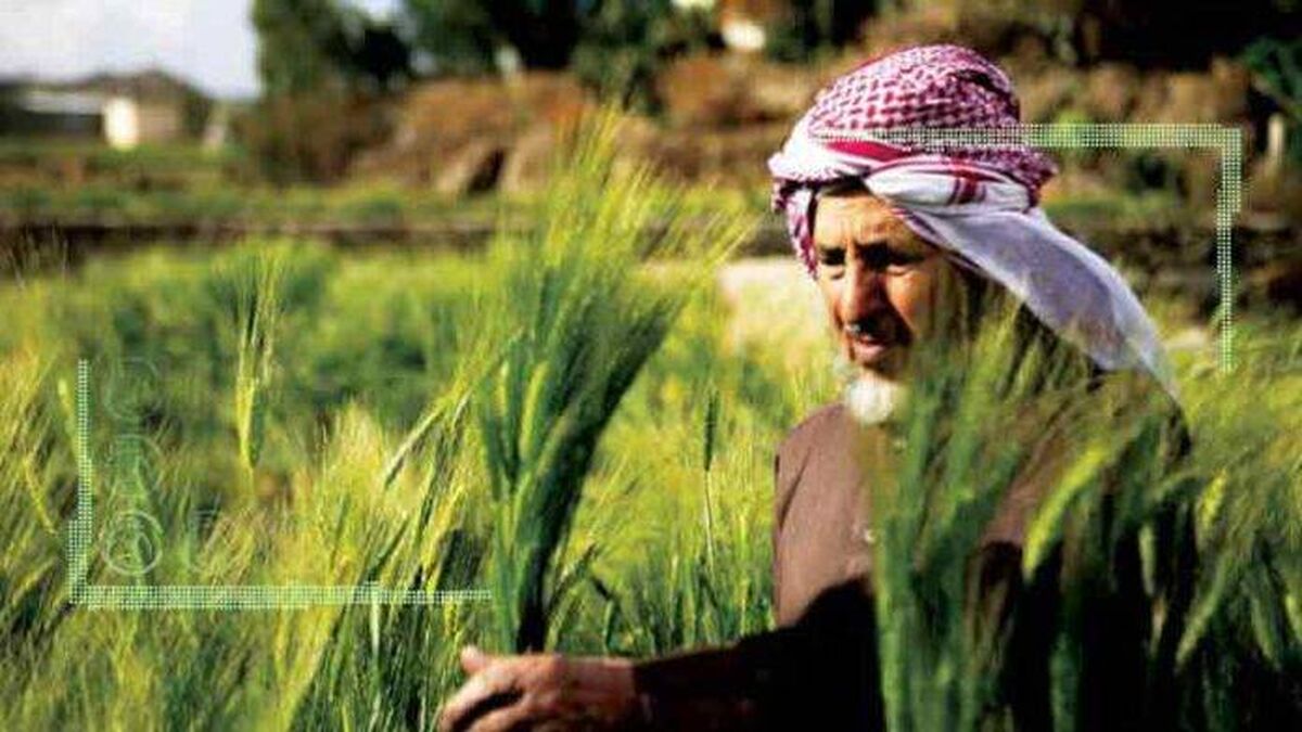 عربستان، ما و دیپلماسی کشاورزی