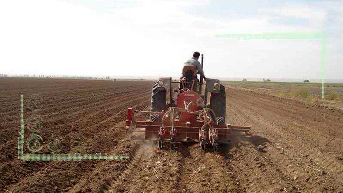 تراکتورهای فرسوده رومانی در مزارع ایران