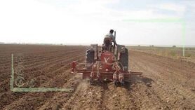 تراکتورهای فرسوده رومانی در مزارع ایران