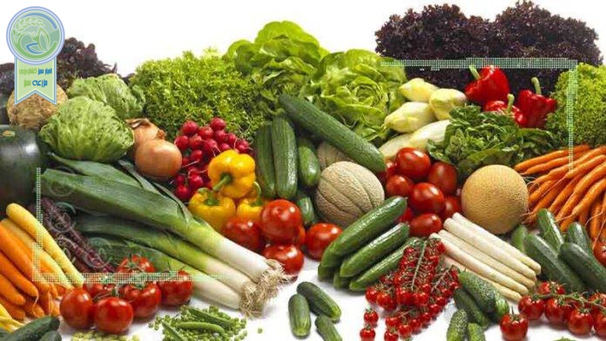 قیمت میوه و تره بار ۱۷ فروردین ۱۴۰۲