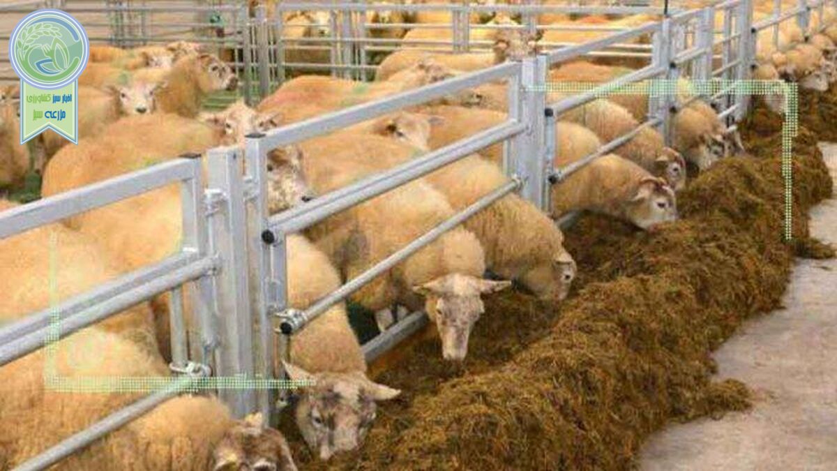 قیمت نهاده های دامی و کشاورزی ۲۱ فروردین ۱۴۰۲