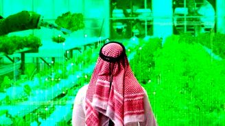 پروژه مزرعه‌های هوشمند عربستان