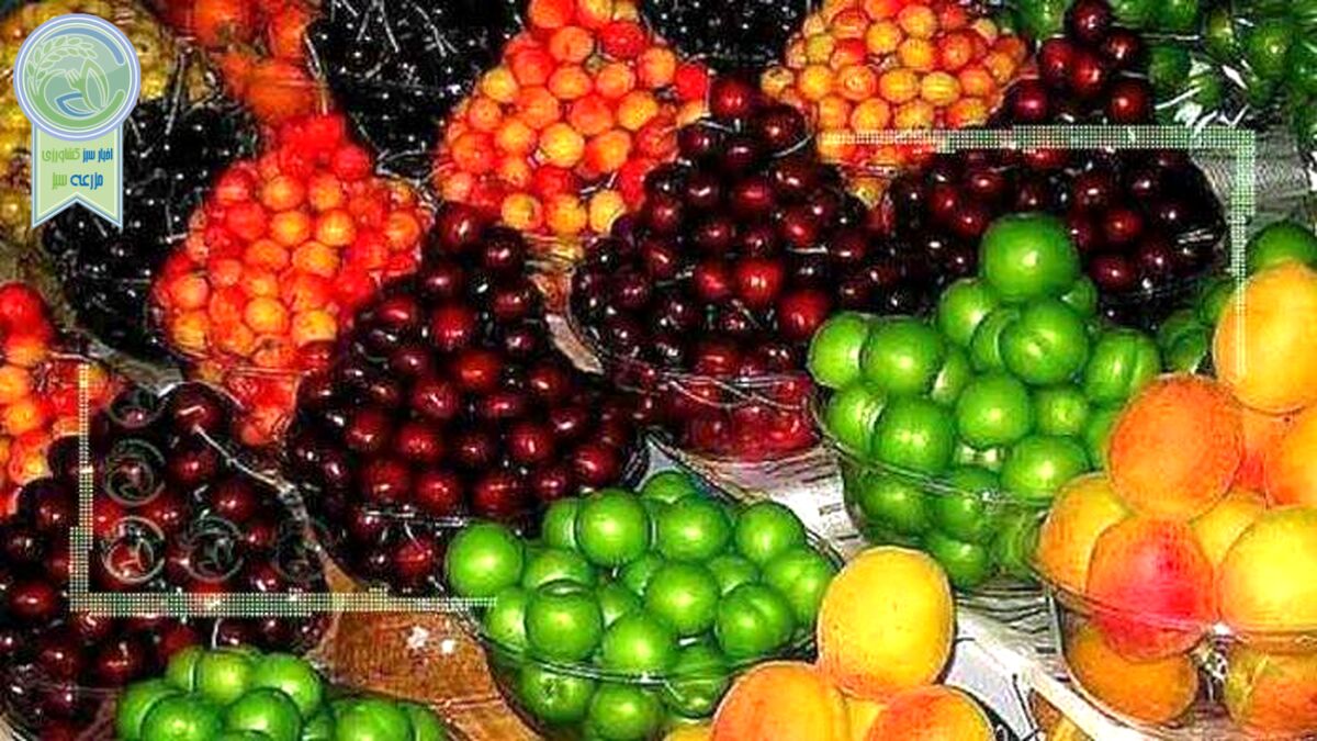 قیمت میوه و تره بار ۲۶ فروردین ۱۴۰۲