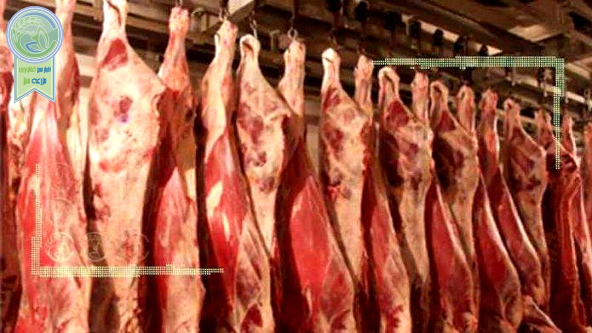قیمت گوشت با عرضه انبوه دام کاهشی می‌شود؟