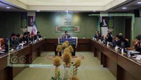 ارتقای تولید گوشت مرغ لازمه صادرات پایدار
