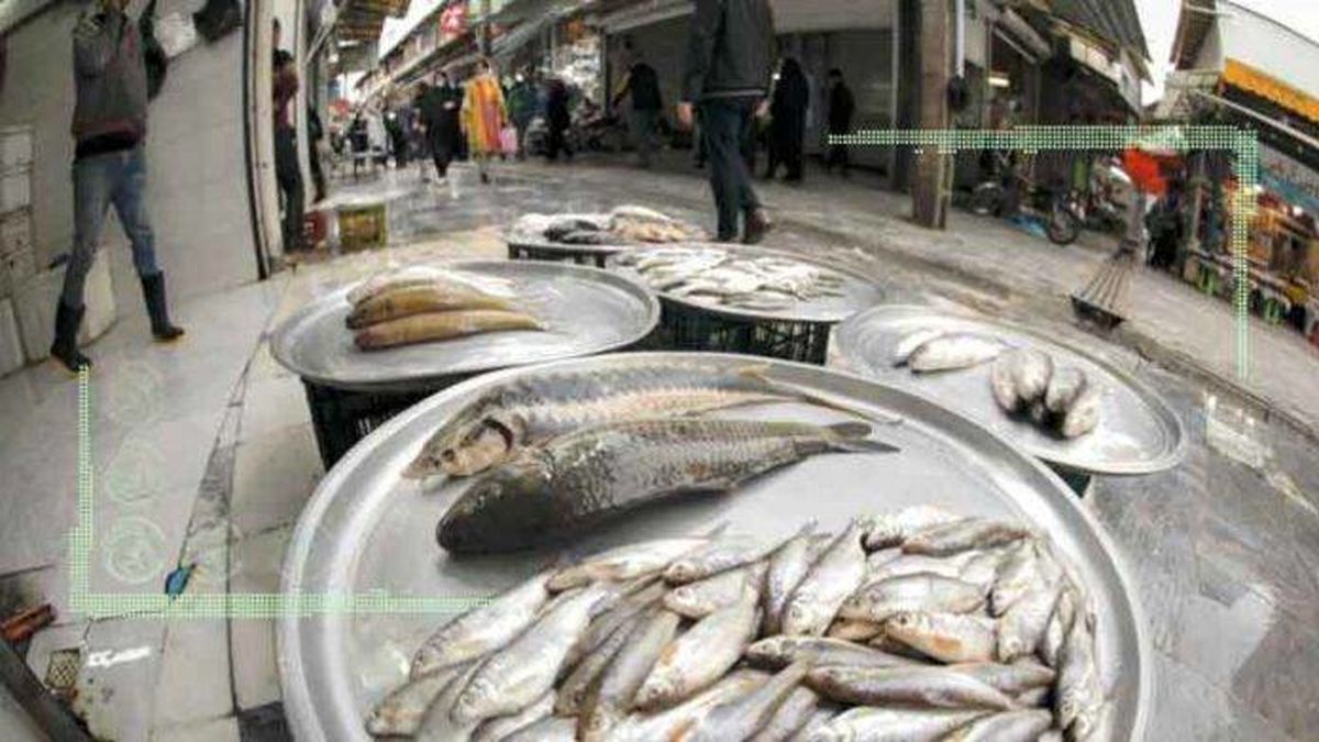قیمت انواع ماهی ۳۱ فروردین ۱۴۰۲