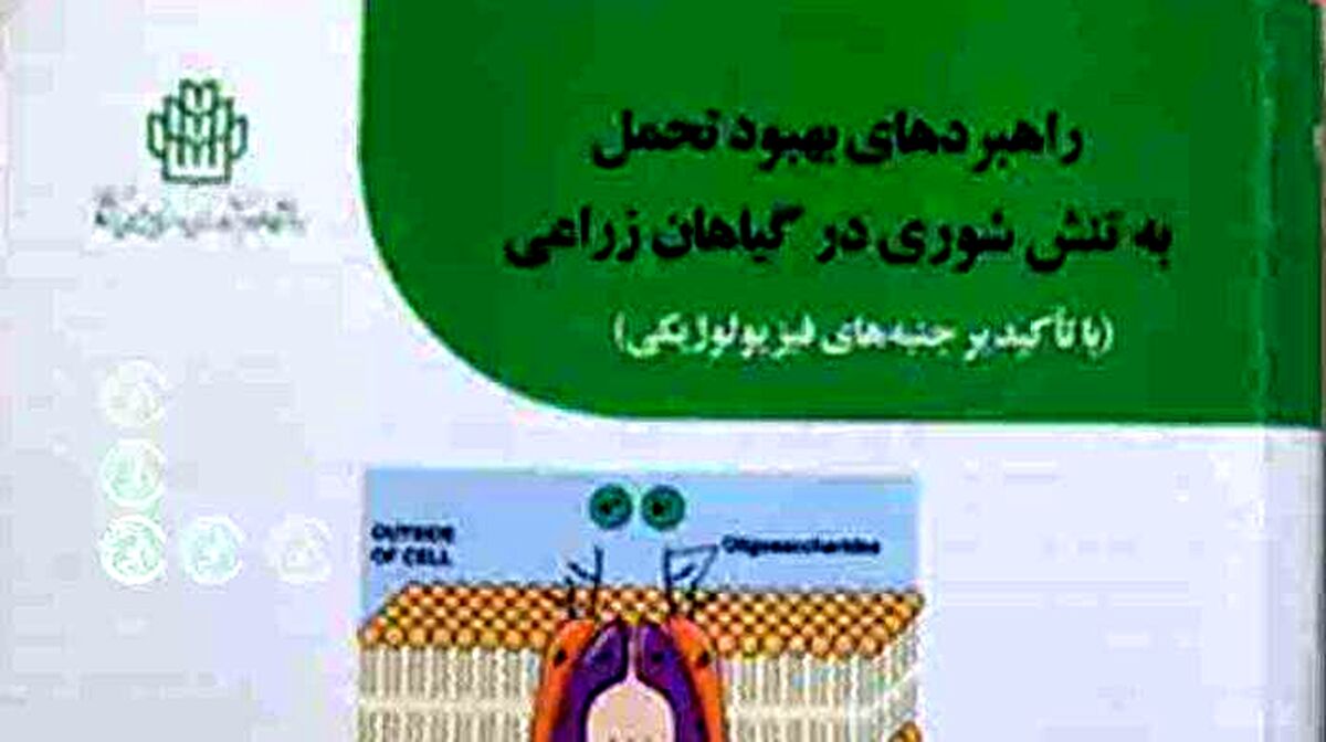معرفی کتاب راهبردهای بهبود تحمل به تنش شوری در گیاهان زراعی