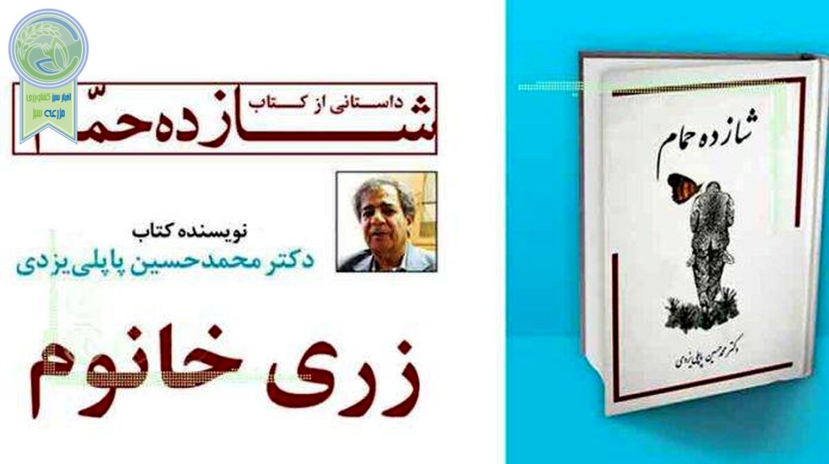 ارزان شدن قیمت گاو و حاملگی زری خانم