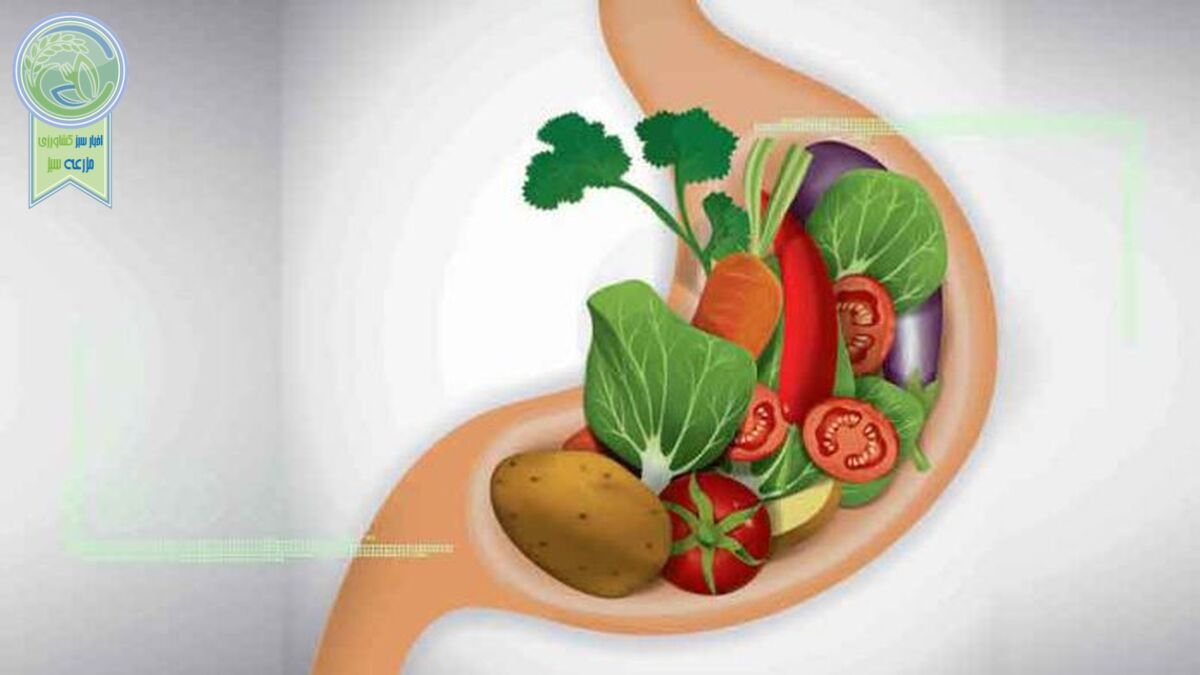 تاثیر استرس بر الگوی غذایی افراد