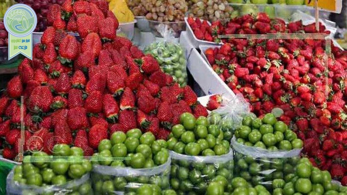 قیمت میوه و تره بار ۹ اردیبهشت ۱۴۰۲