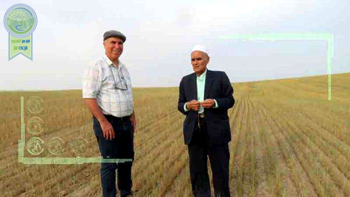 سرمایه‌گذاری روی زمین با کشت بی‌خاک‌ورزی
