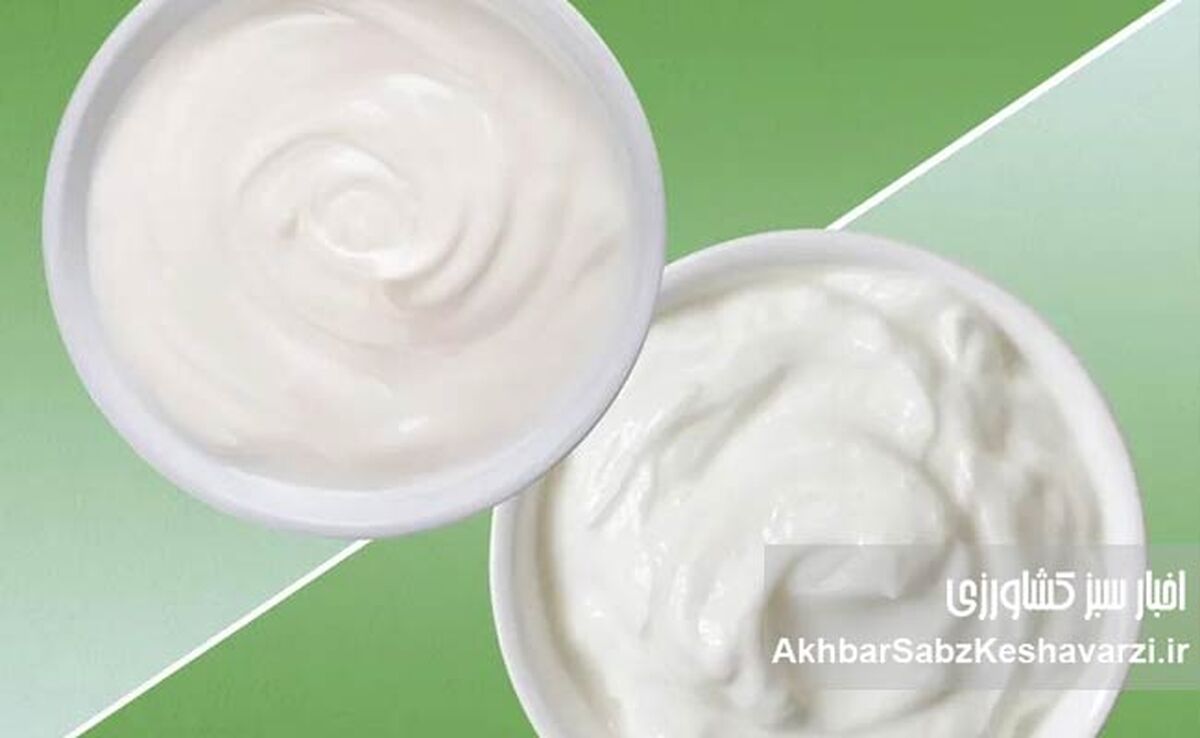 ماست یونانی یا ماست چکیده؛ کدام برای لاغری برنده است؟

